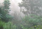 South Guyralandscaping-irrigation-4.jpg; ?>